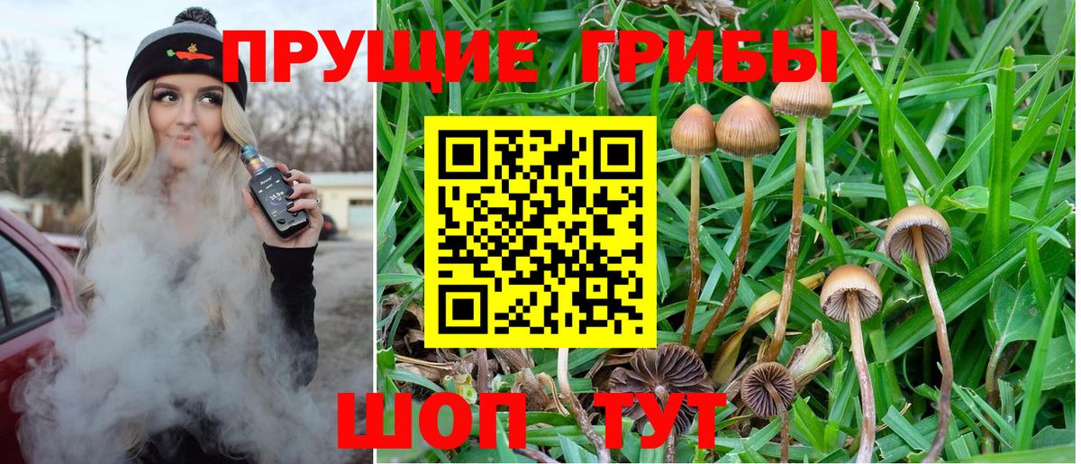 Псилоцибиновые грибы мухоморы Североморск